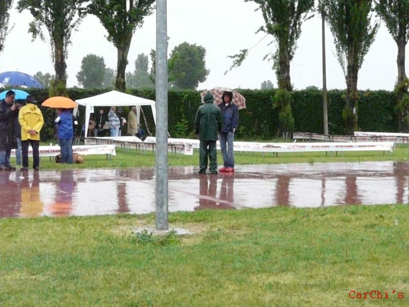 P1000264