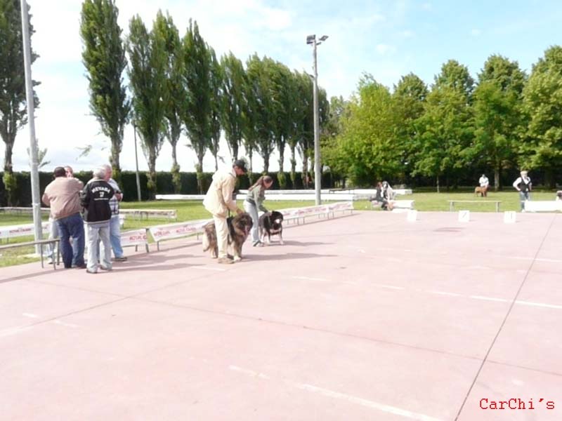 P1000346