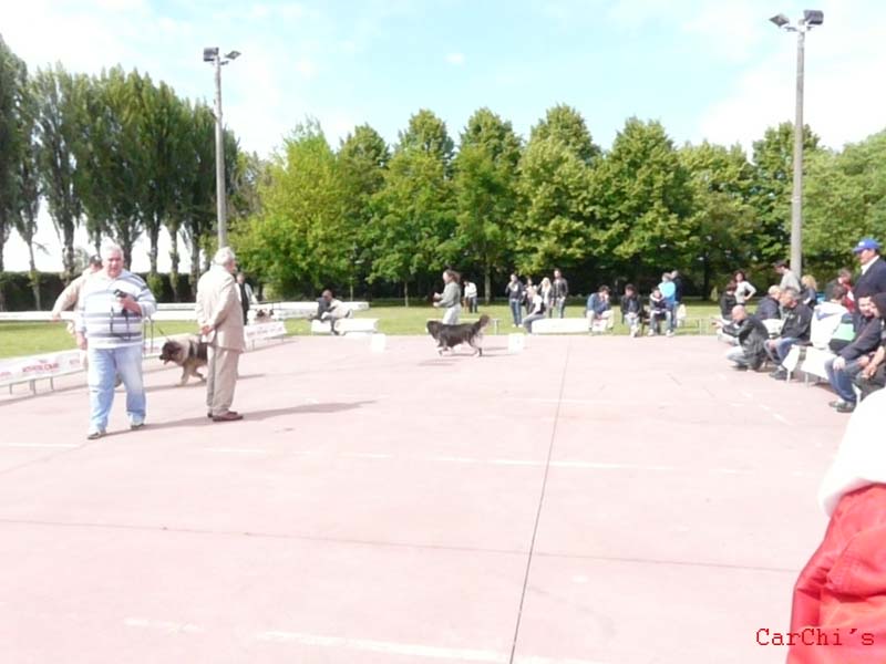 P1000351