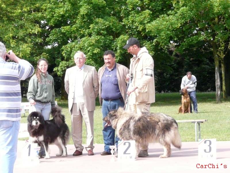 P1000355