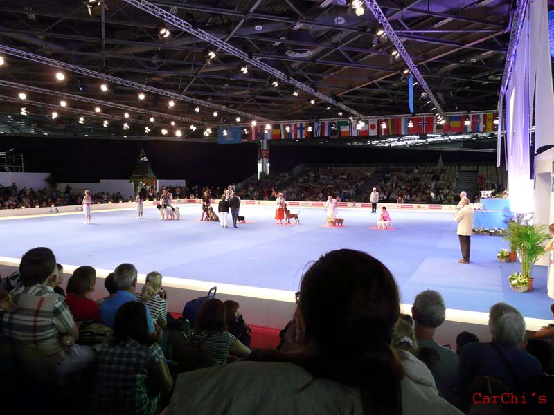 P1010803