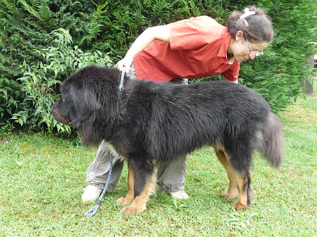 P1000140.JPG