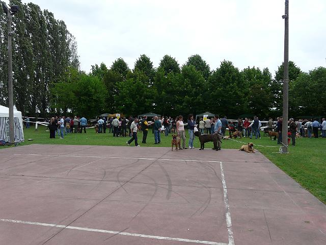 P1000154.JPG