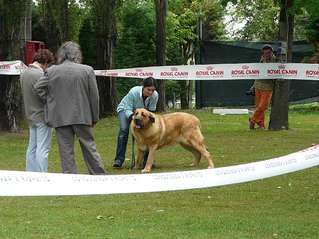 P1000161.JPG
