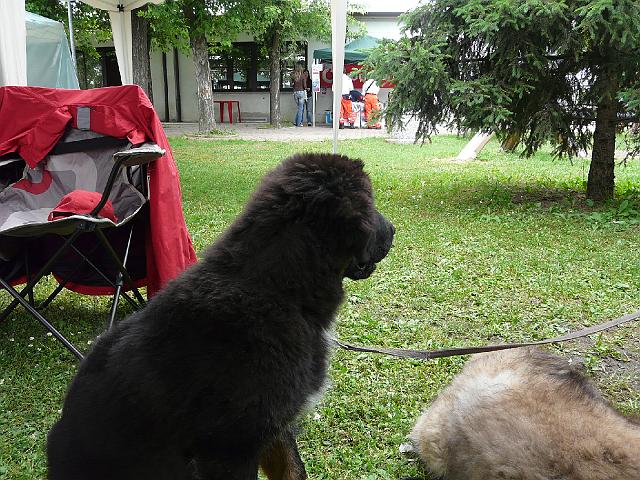 P1000168.JPG