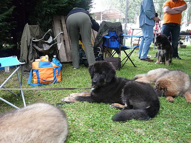 P1000169.JPG