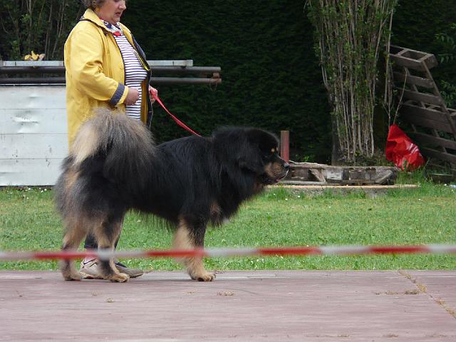 P1000178.JPG