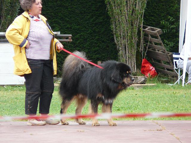 P1000179.JPG