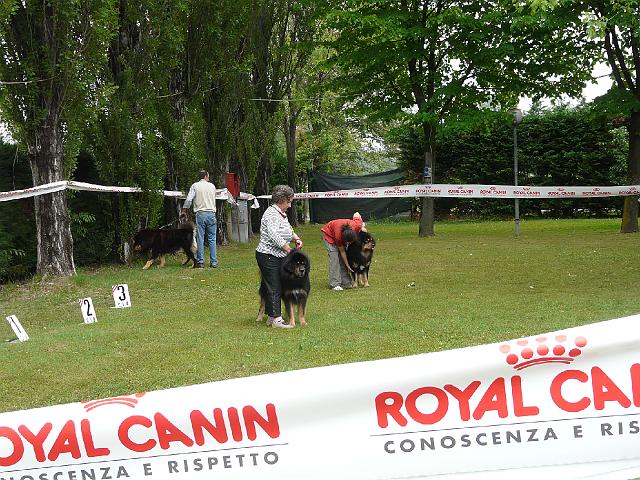 P1000187.JPG