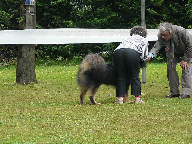 P1000196.JPG