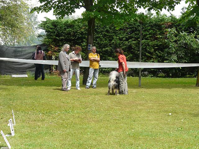 P1000209.JPG