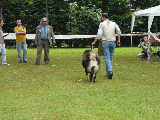 P1000218.JPG