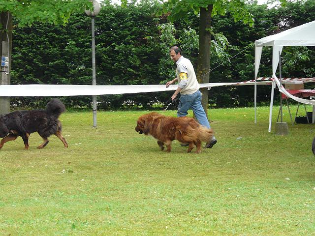 P1000221.JPG