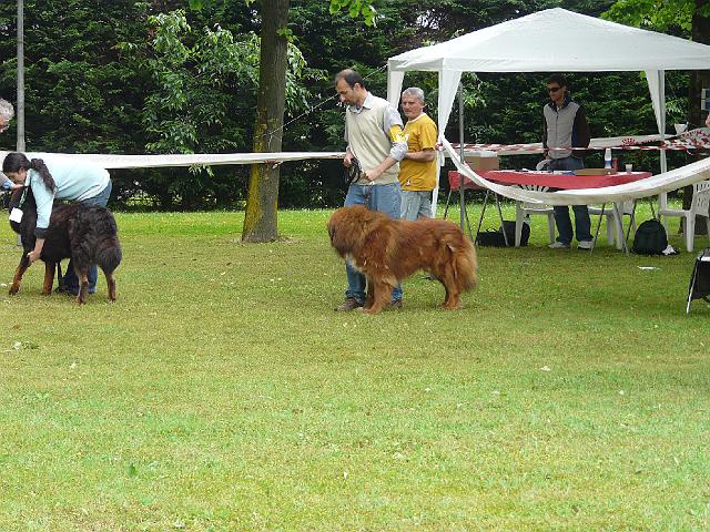 P1000223.JPG