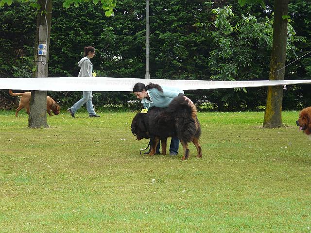 P1000228.JPG