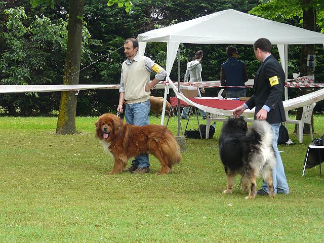 P1000229.JPG