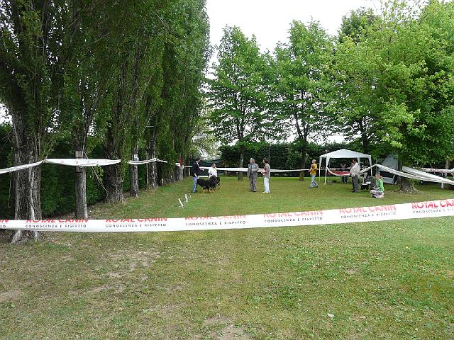 P1000260.JPG