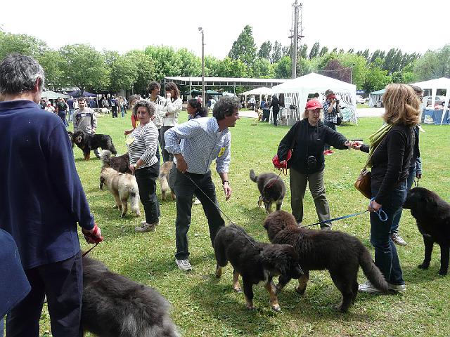 P1000275.JPG