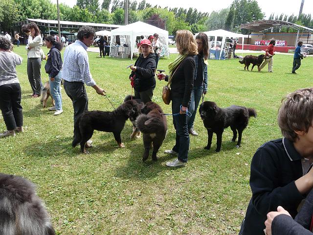 P1000276.JPG