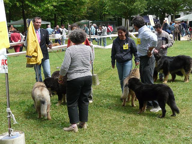 P1000277.JPG