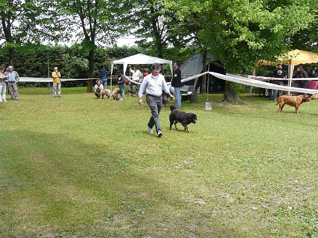 P1000283.JPG