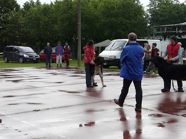 P1000324.JPG