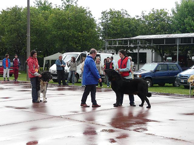 P1000325.JPG