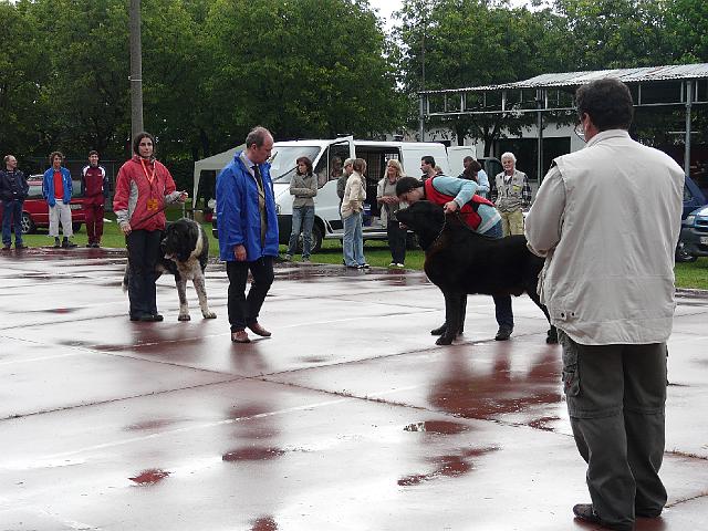 P1000326.JPG