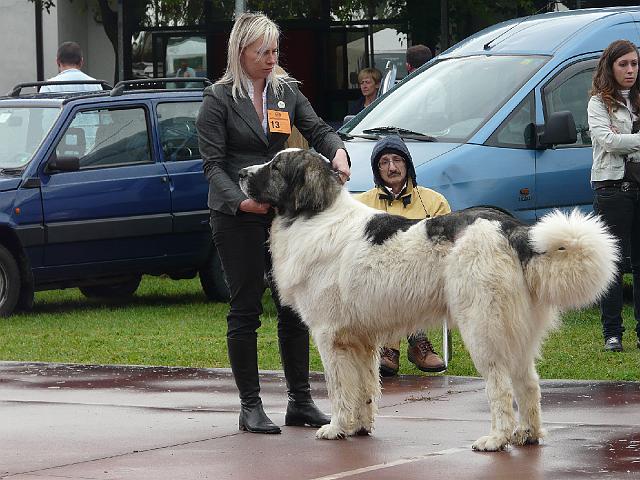 P1000331.JPG