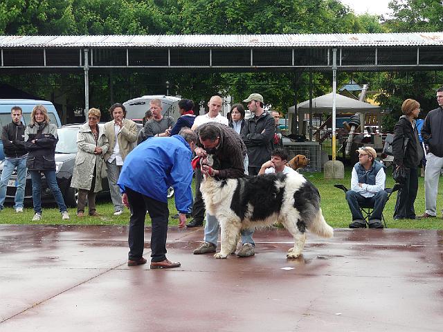 P1000332.JPG