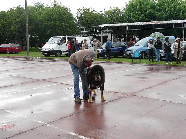 P1000335.JPG