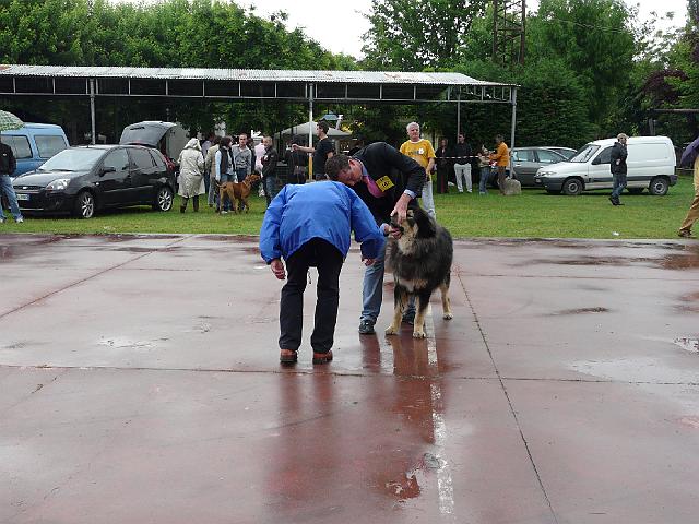 P1000337.JPG