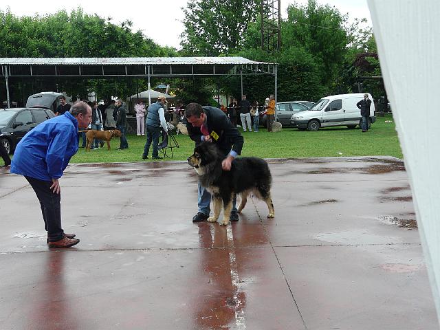 P1000338.JPG
