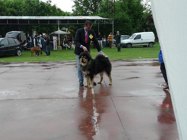 P1000339.JPG