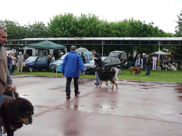 P1000340.JPG
