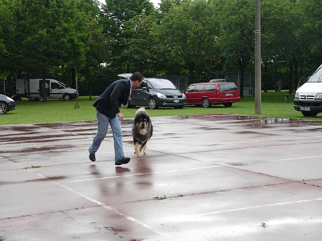 P1000341.JPG