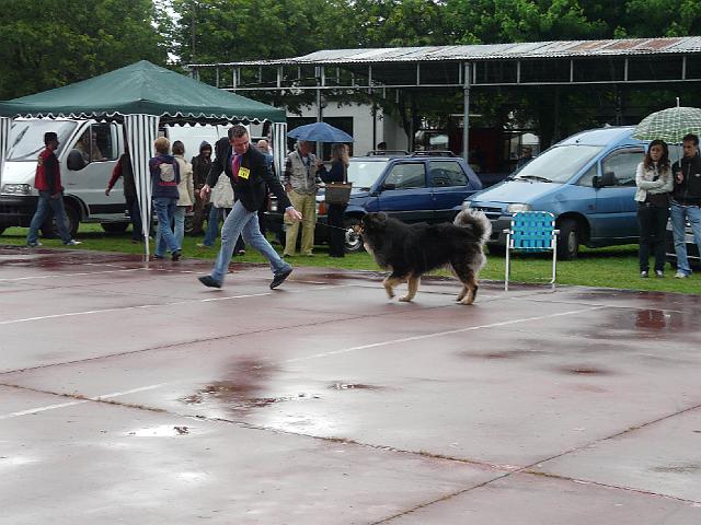 P1000342.JPG