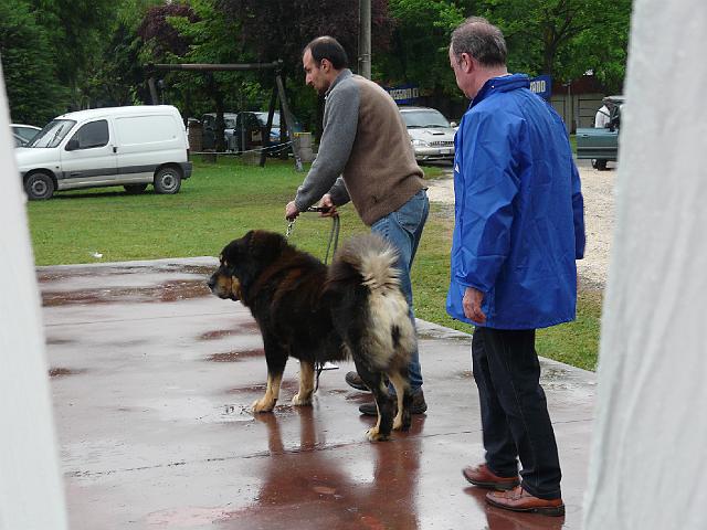 P1000344.JPG