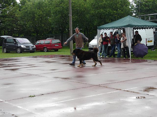 P1000345.JPG