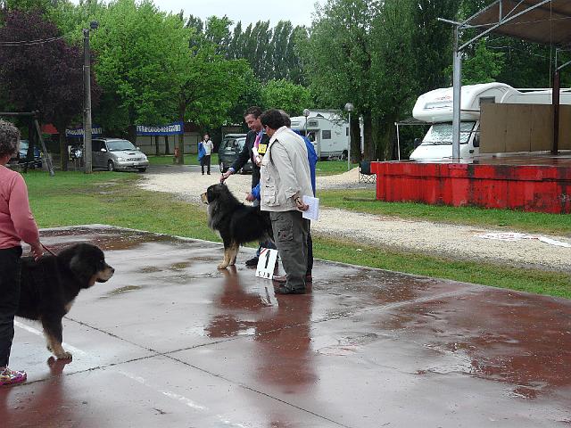 P1000347.JPG