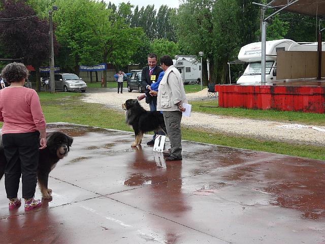 P1000348.JPG