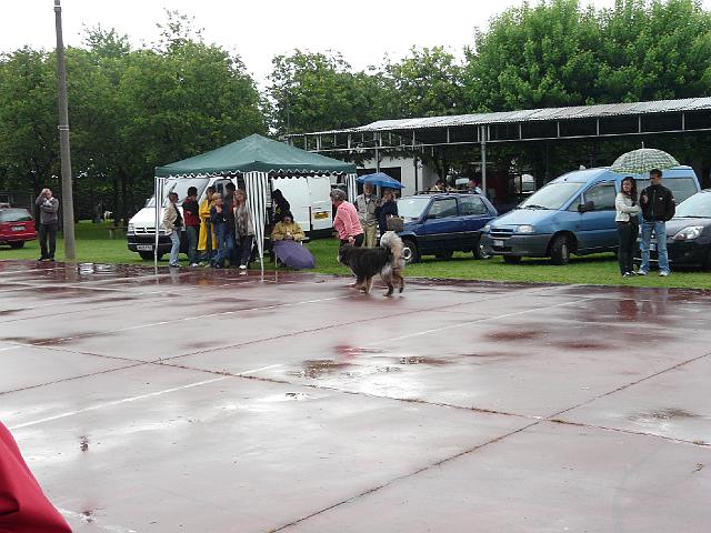 P1000349.JPG