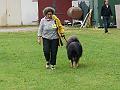 P1000183