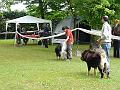 P1000199