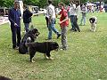 P1000274