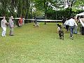P1000298